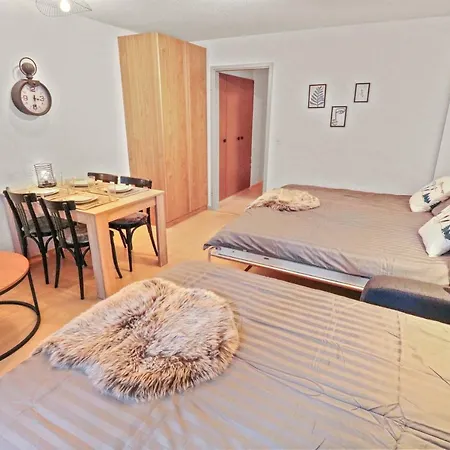 Apartment Chaleureux Plein Centre
