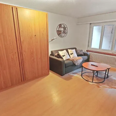 Chaleureux Plein Centre * ロイカーバード