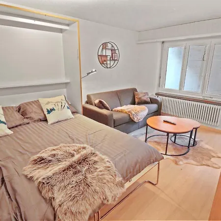 Chaleureux Plein Centre Apartment