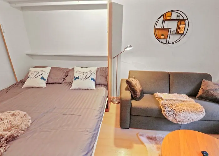 Apartment Chaleureux Plein Centre