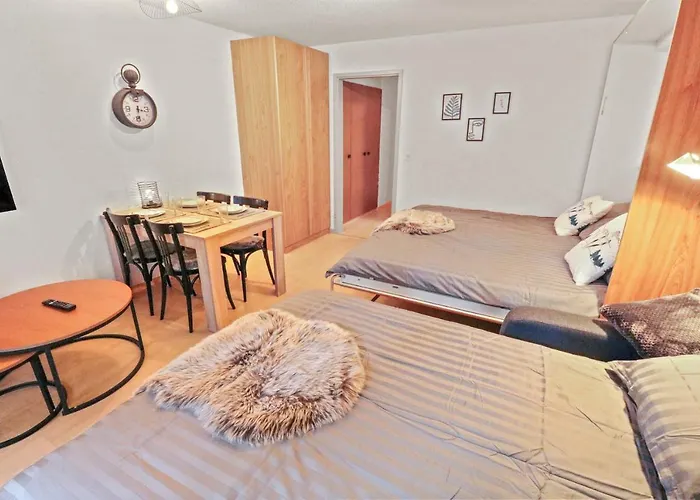 Apartment Chaleureux Plein Centre